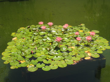 f0068883_14534327.jpg