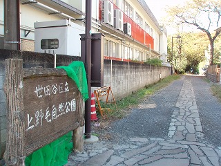 c0105785_10354034.jpg