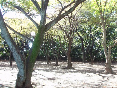 c0105785_1041546.jpg