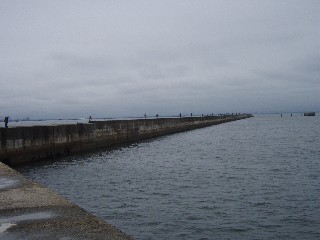 e0052088_1524174.jpg