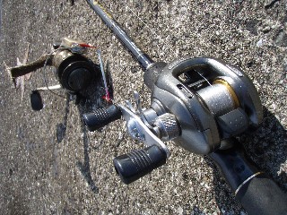 e0052088_1554425.jpg