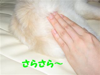 e0121589_21352791.jpg