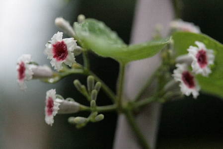 d0133693_2254093.jpg