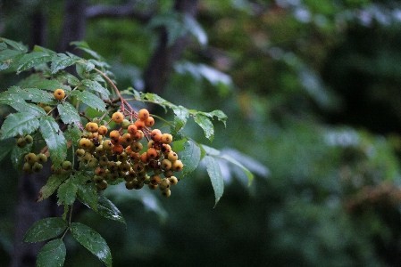 d0133693_22541995.jpg