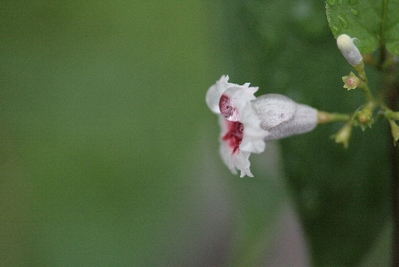 d0133693_2254596.jpg