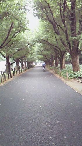 d0057701_1426371.jpg