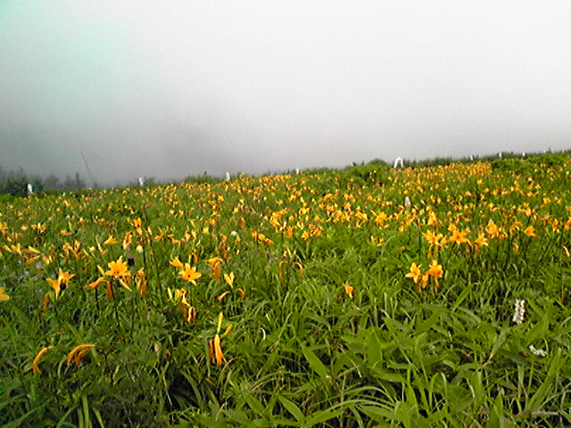 f0079202_21181919.jpg