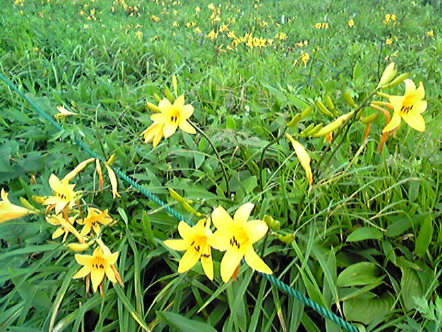 f0079202_21181921.jpg