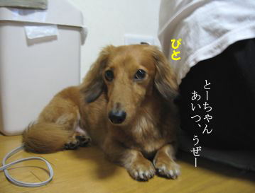 b0044804_11285992.jpg