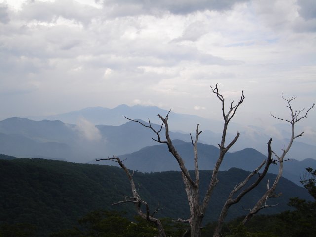 a0116205_12155350.jpg