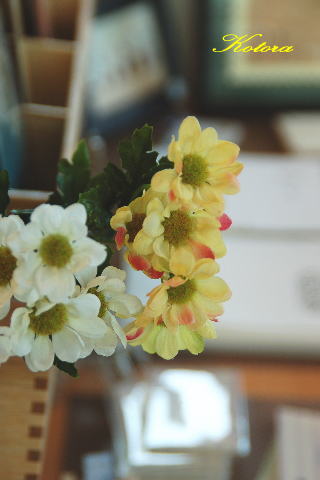 c0084506_1182948.jpg