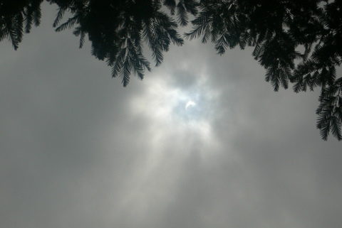 f0167007_13294854.jpg
