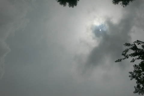f0167007_18111724.jpg