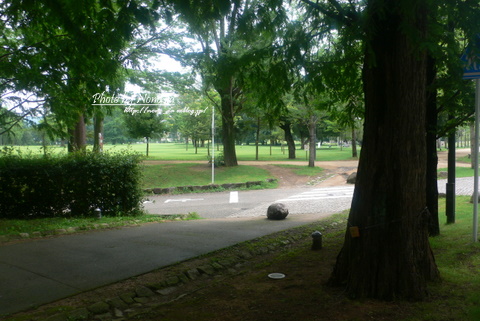 f0167007_1946722.jpg