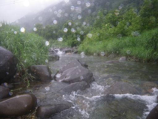 e0123808_126064.jpg
