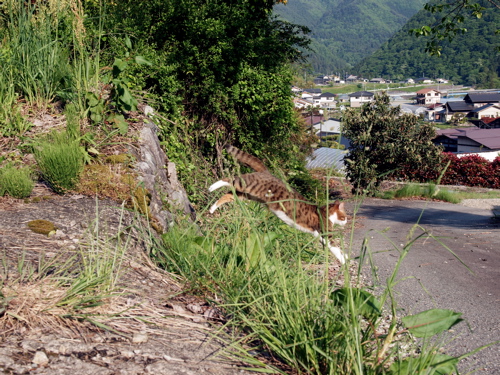 f0135908_711132.jpg