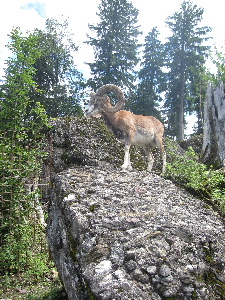 e0089710_15183175.jpg