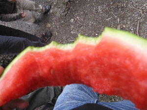 e0089710_15204094.jpg