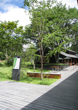 e0136511_2011985.gif