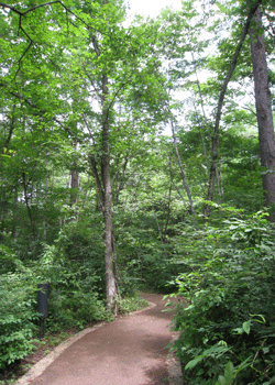 e0136511_2062759.gif