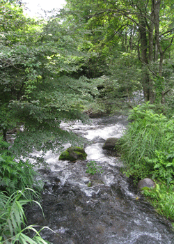 e0136511_208481.gif