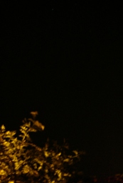 f0133814_2114229.jpg