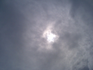a0059315_21182012.jpg