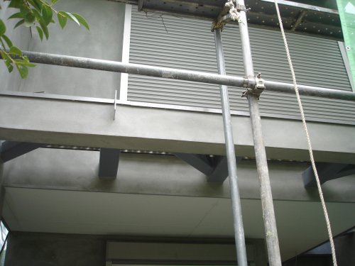 e0003819_83402.jpg