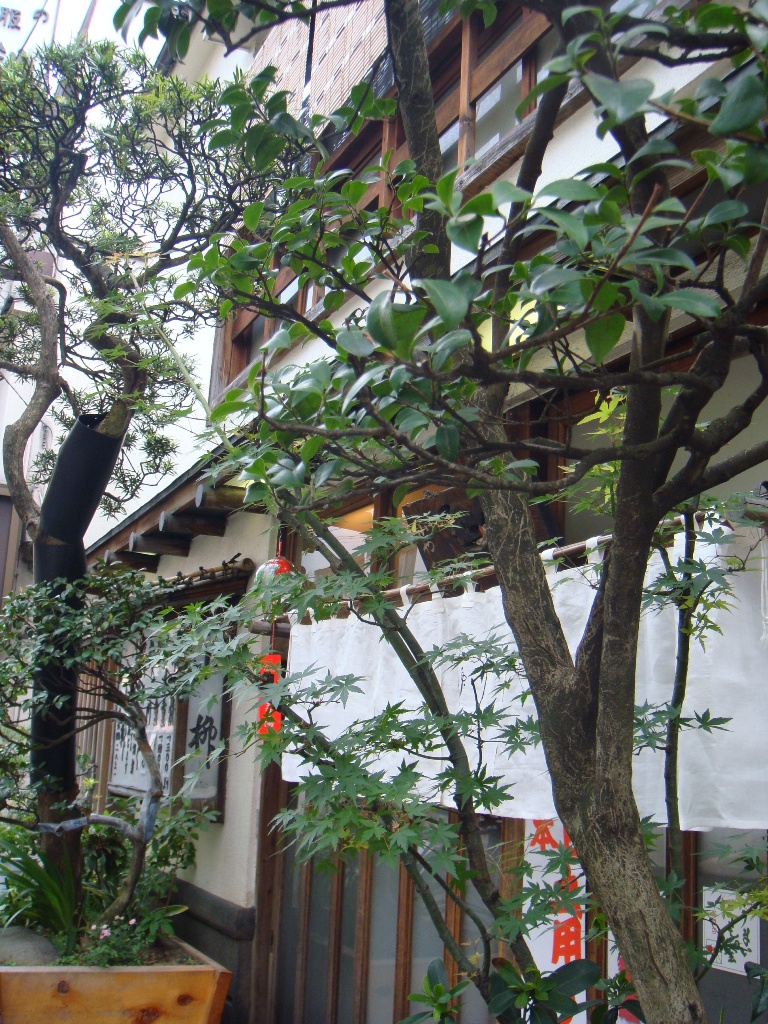 f0114520_21122622.jpg
