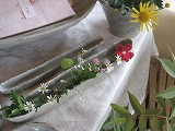 f0139520_2373530.jpg