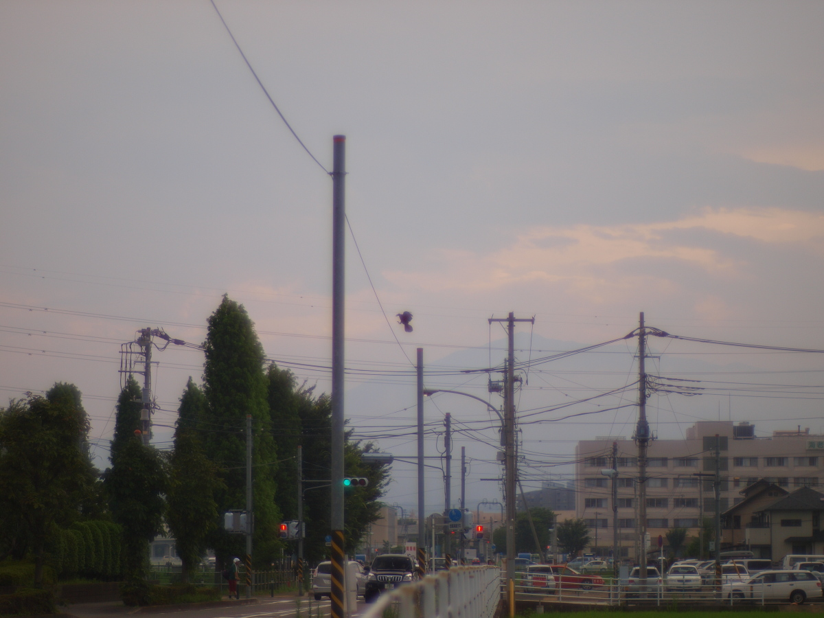 b0137723_22511020.jpg