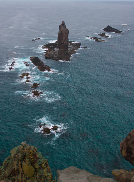 e0001123_1740223.jpg