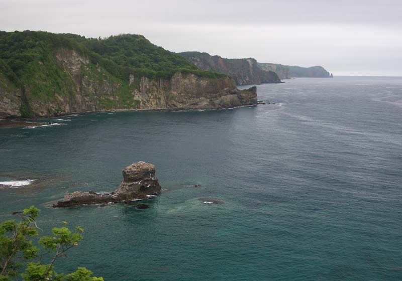 e0001123_17404069.jpg