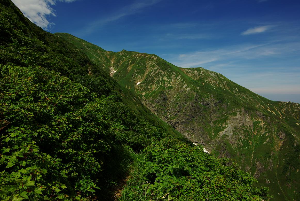 b0062024_715081.jpg