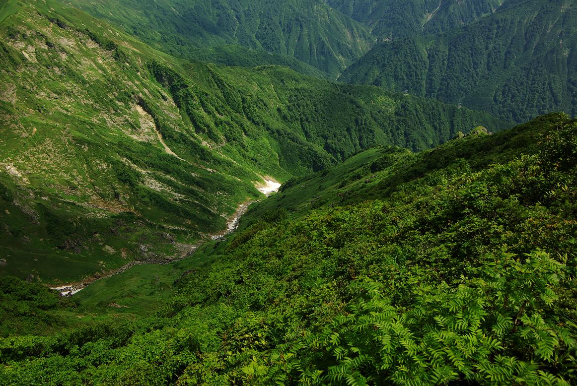 b0062024_7204662.jpg