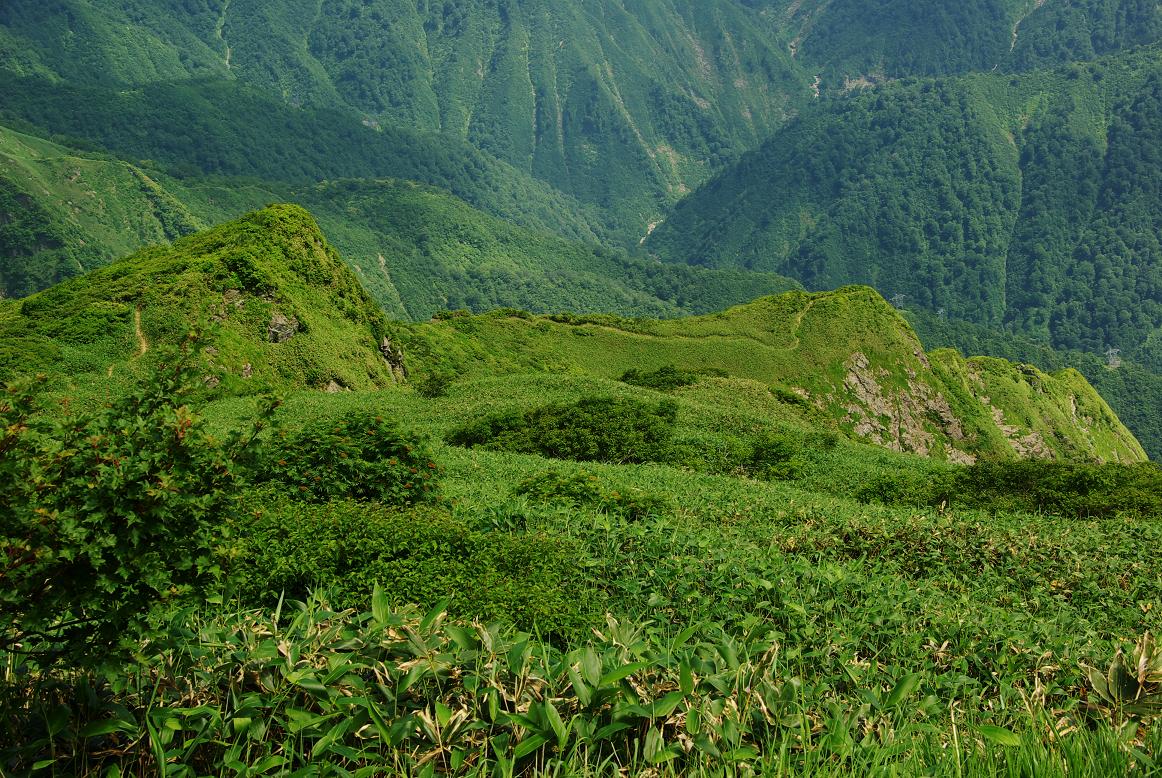 b0062024_747833.jpg