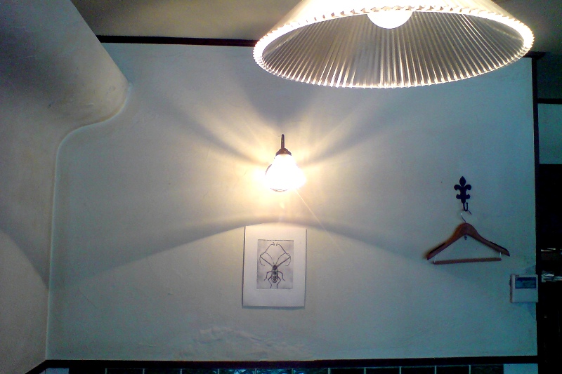 f0192226_152262.jpg
