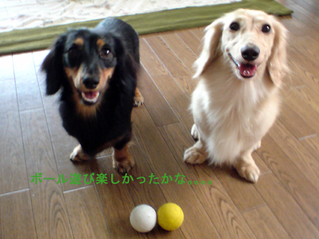c0117831_20101435.jpg