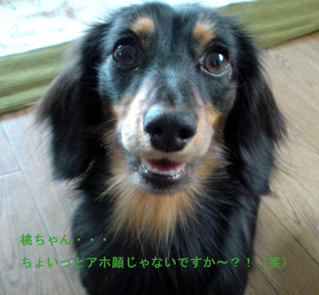 c0117831_20102683.jpg