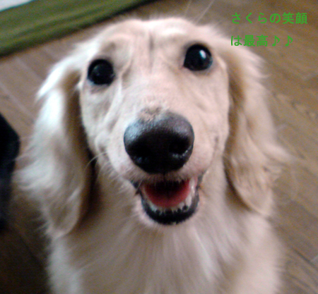 c0117831_20104550.jpg