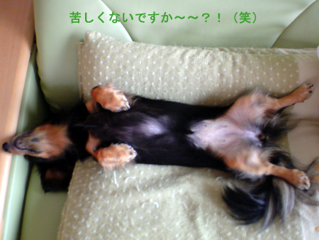 c0117831_20145850.jpg