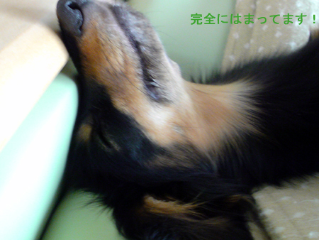 c0117831_2015136.jpg