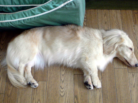 c0117831_20153560.jpg