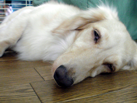 c0117831_20155090.jpg