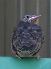 c0134734_218610.jpg
