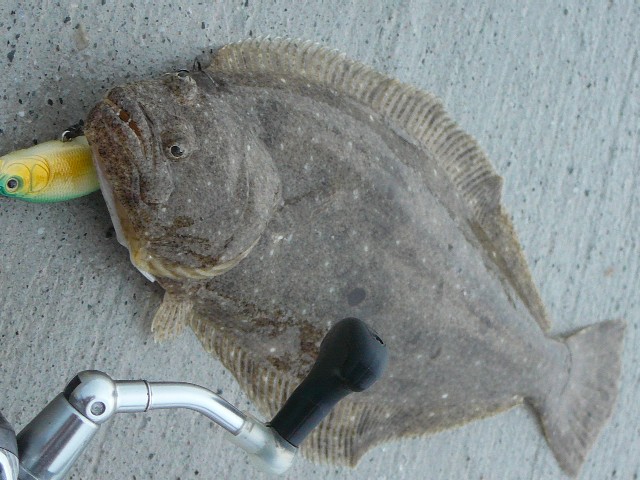 c0194535_12191578.jpg