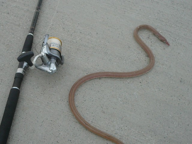 c0194535_12401372.jpg