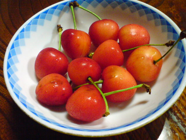 c0104445_21484285.jpg