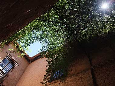 d0129145_2265717.jpg