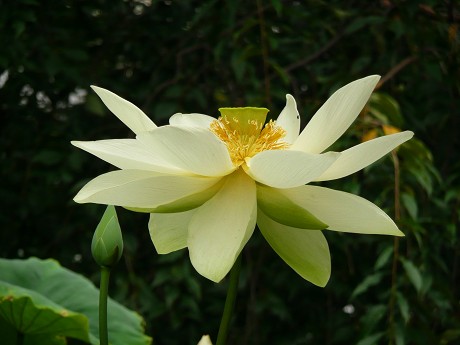 c0057946_22263191.jpg